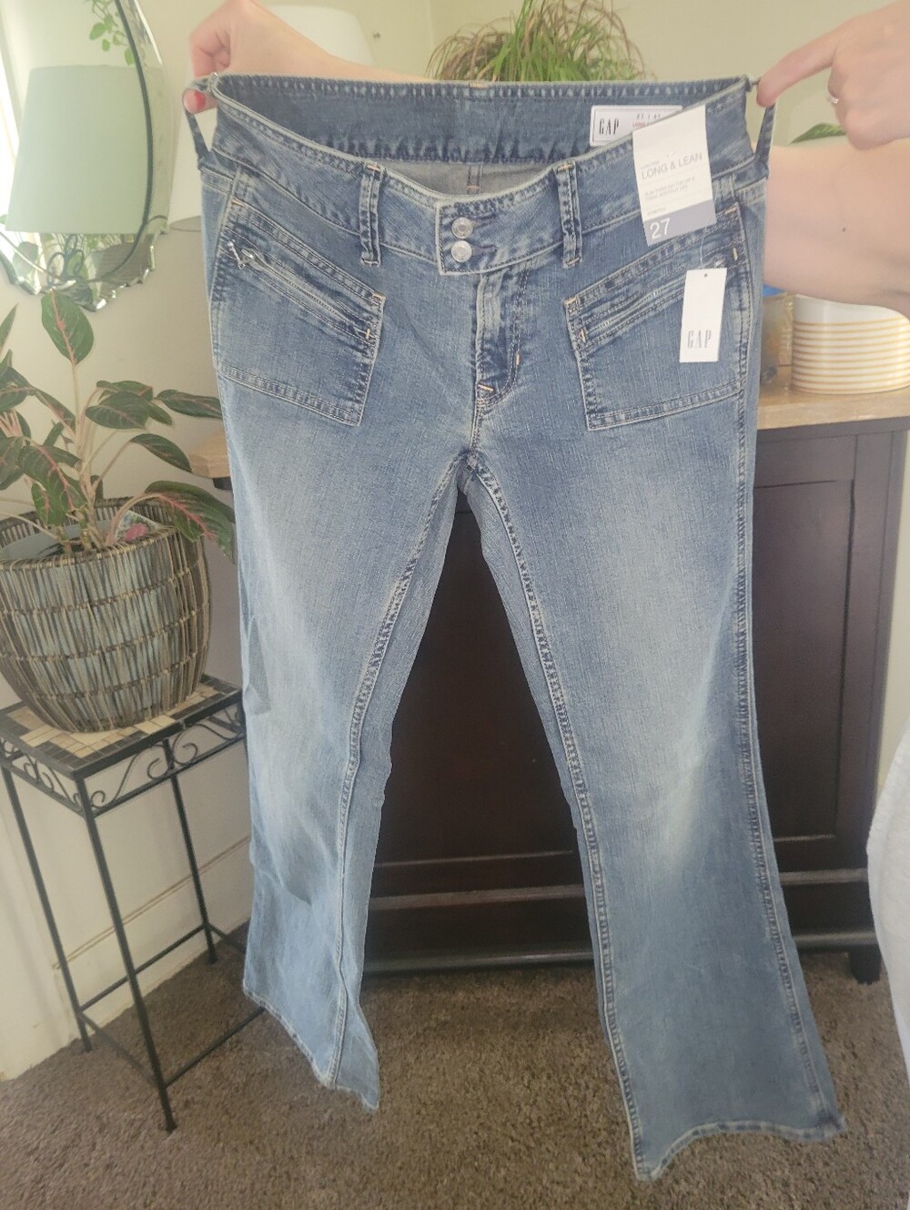 $100 GAP Low Rise Long & Lean Stretch Jeans 27